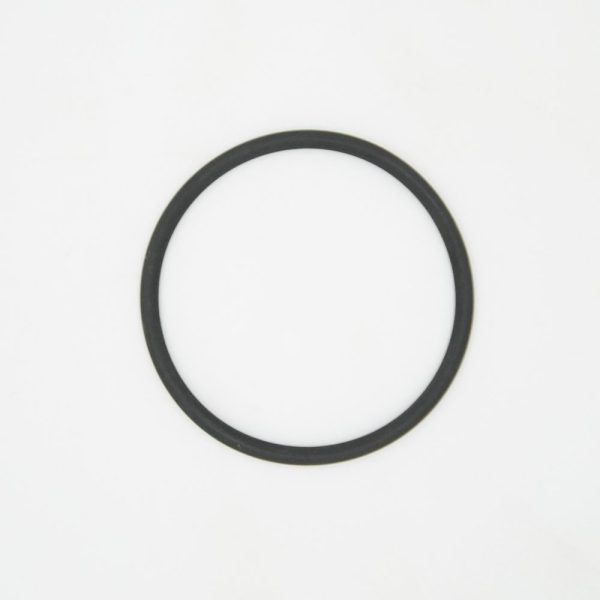 Fuel Filter Bowl Gasket 150 AG Inject