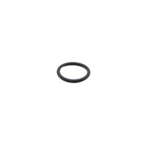 Check Valve O-Ring B40