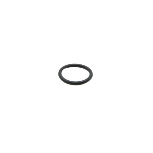 Check Valve O-Ring B40
