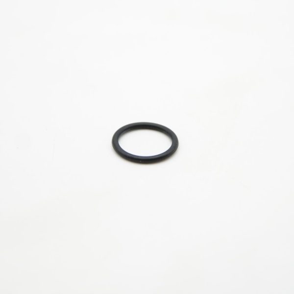 Check Valve O-Ring B40