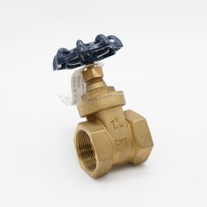 Threaded Gate Valve Full Port Brass BS4-F