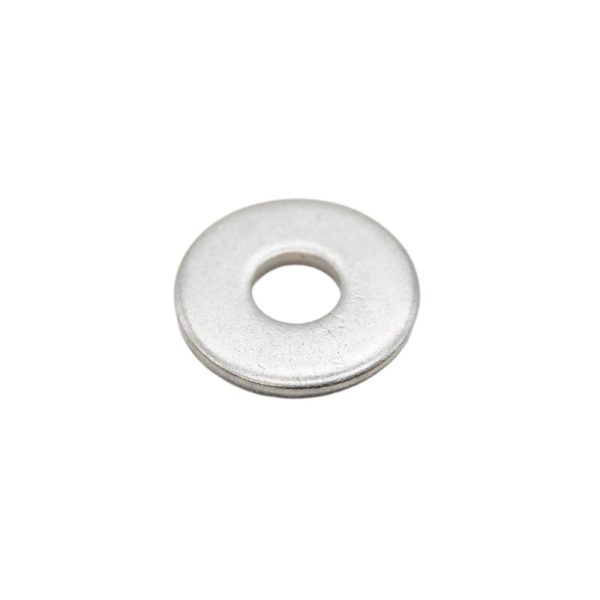 Sta-Rite Stainless Steel Washer