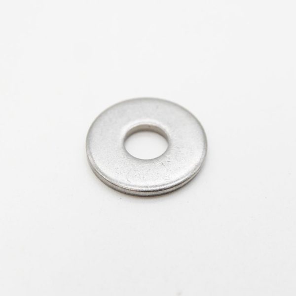 Sta-Rite Stainless Steel Washer