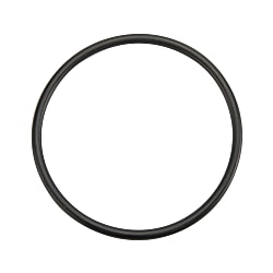 O-Ring Reinke