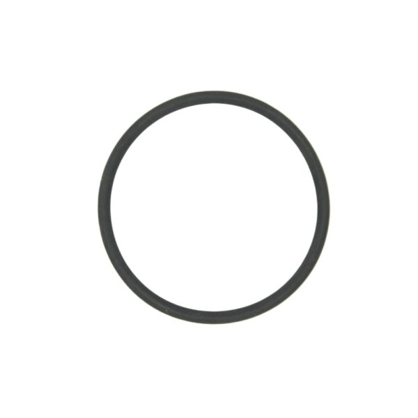 Fuel Filter Bowl Gasket 150 AG Inject