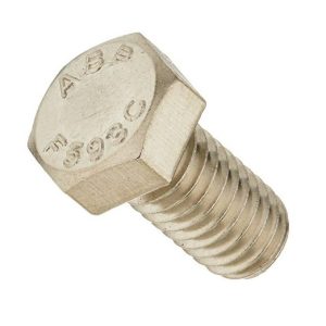 Pentair 3/8″-16x.75″ SS Hex Head Cap Screw