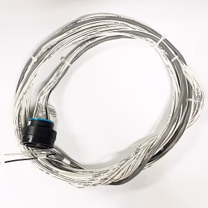 31 Pin 10ft TEC-10 Harness