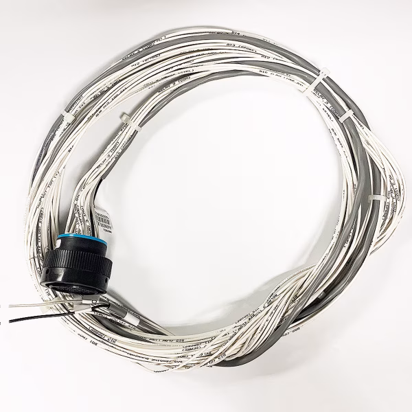 31 Pin 10ft TEC-10 Harness